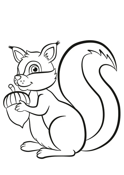 Cute summer squirrel coloring book